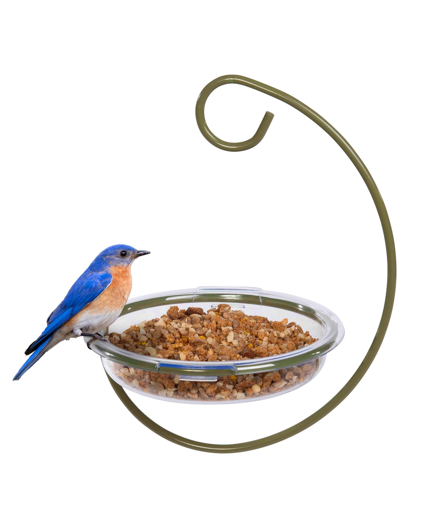 Hanging bird feeder with a vibrant bluebird perched on the edge, showcasing its open design perfect for offering seeds, mealworms, or suet to ground-feeding birds. This versatile feeder attracts a variety of backyard birds, including bluebirds, sparrows, juncos, and doves. Ideal for birdwatchers and nature enthusiasts, the durable and easy-to-clean design makes it a great addition to any backyard feeding station, providing ample space for multiple birds to feed comfortably. Drainage holes prevent water.