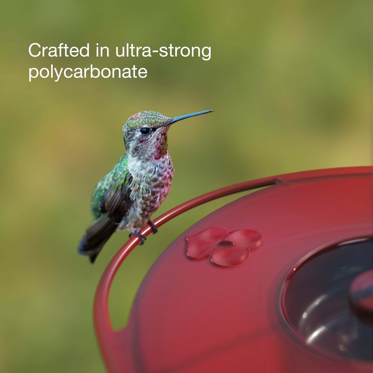 A ruby-throated hummingbird feeder perched on the sweet spot hummingbird feeders comfortable polycarbonate perches.