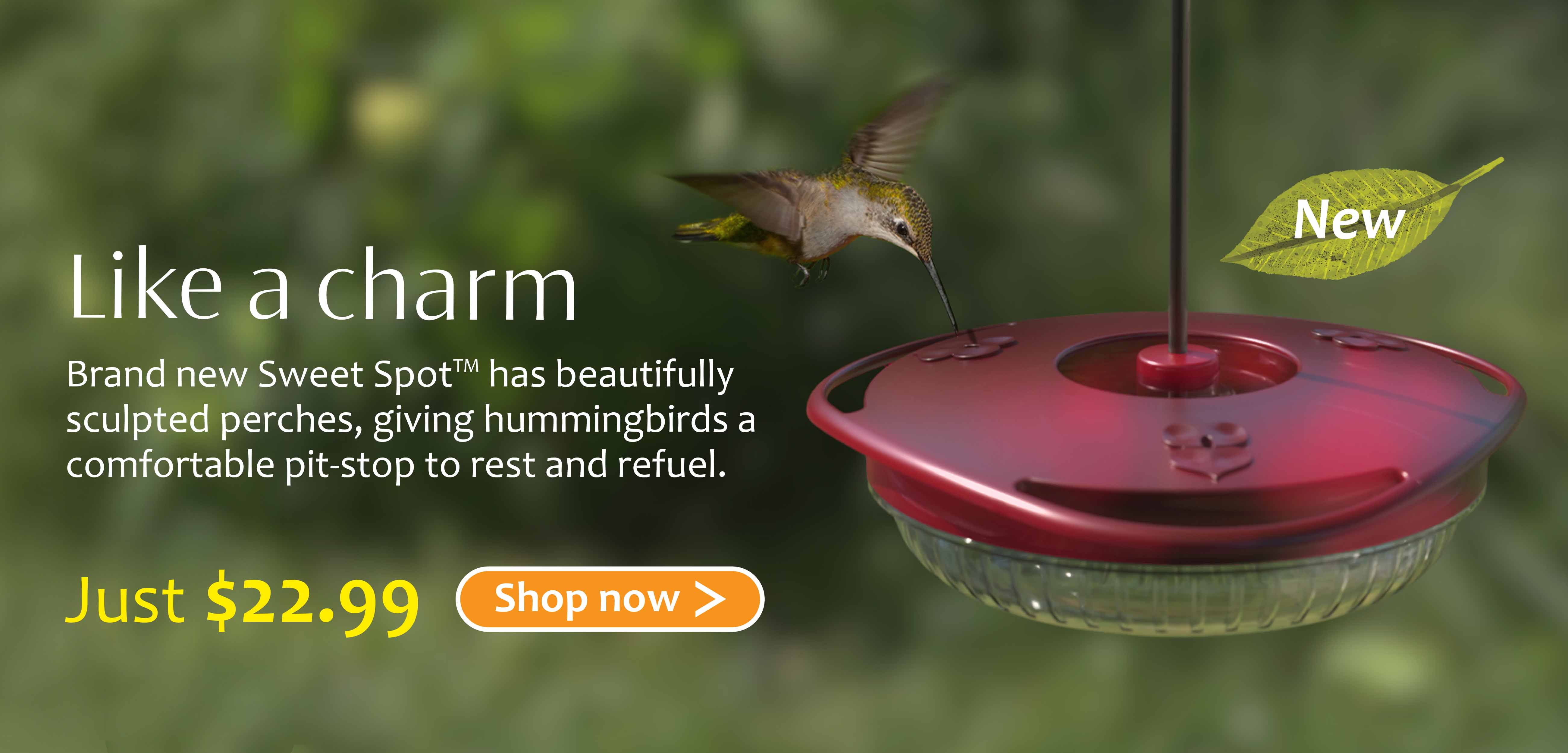 Sweet spot hummingbird feeder filled with syrup and nectar, being eaten by a female ruby-throated hummingbird in a spring garden. A lead shows that the product in the image is