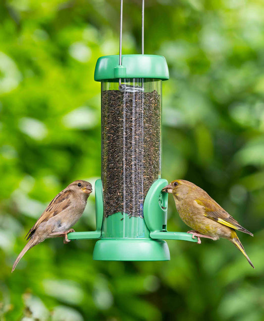 Two goldfinches feeding from a small green hanging nyjer seed feeder.