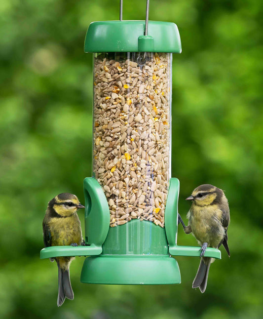 Two birds feeding from a small plastic bird seed feeder with green cap, base, and ports.