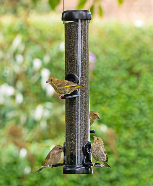 Finches feeding from a medium black metal flo lifetime nyjer seed feeder.