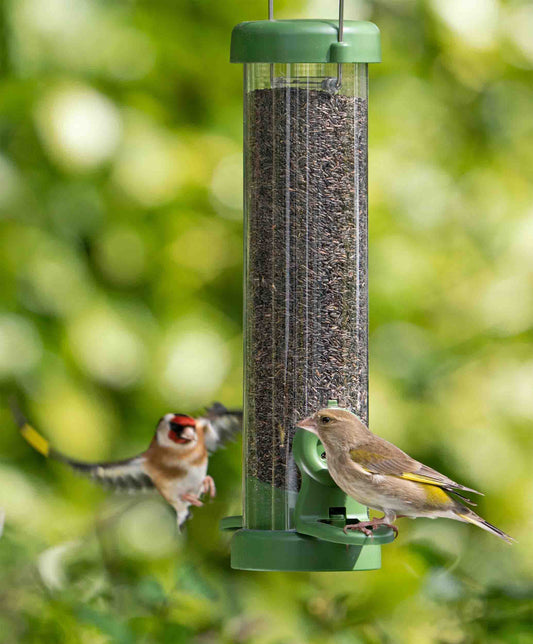 Finches feeding from a green flo nyjer seed feeder.