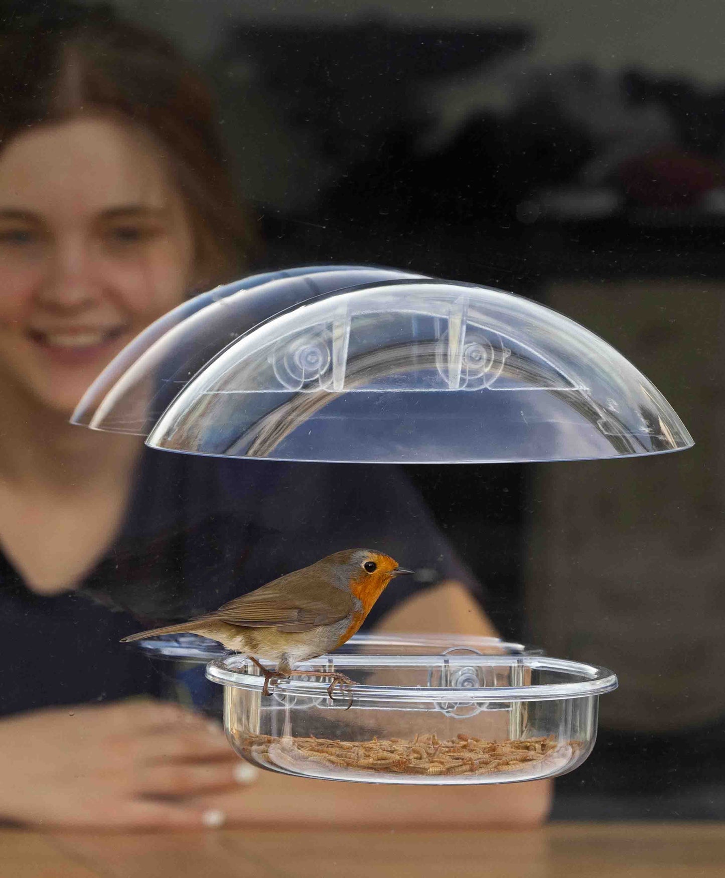 Young girl bird watching through a window at a vibrant robin perched on an oriole mealworm window feeder with a protective rain cover, perfect for birdwatching enthusiasts and backyard bird feeder lovers.