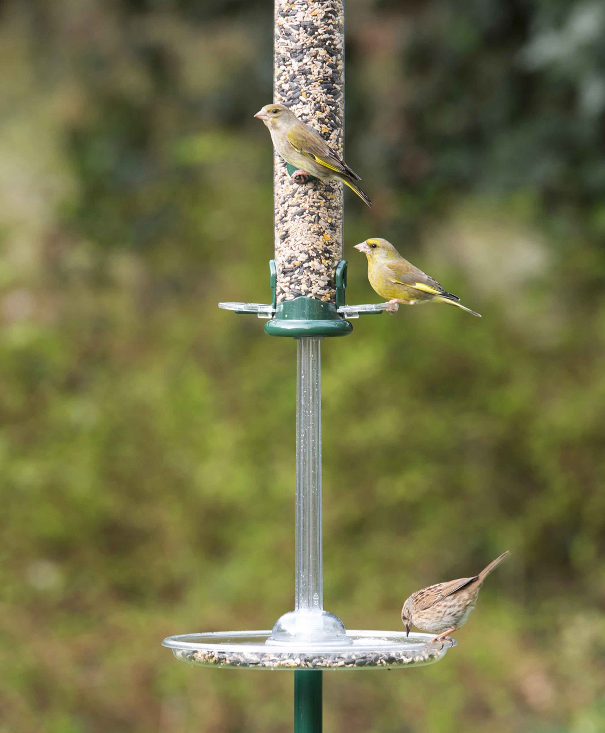 Long plastic UV-resistant tube, designed to attached to seed catchers and trays in order to prevent pigeons and other large birds like starlings from bird feeding on your quality seed mixes, blends, peanuts, suet pellets, sunflower hearts, black sunflower seeds and nyjer seeds.