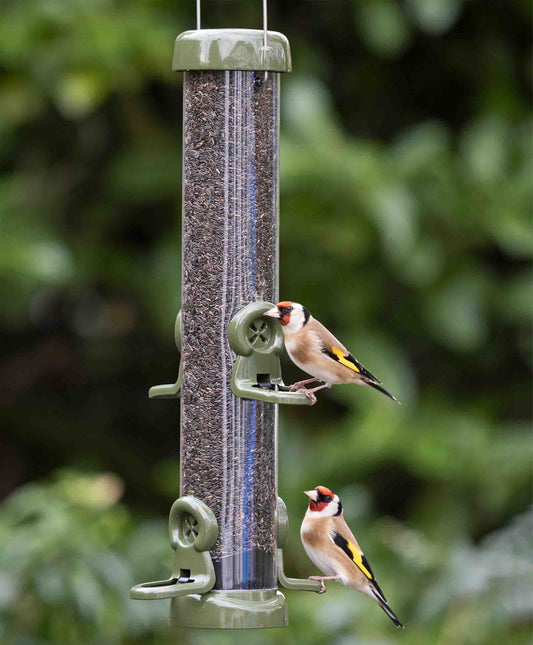 American Goldfinches feeding de-shelled nyjer seed from medium easy clean tubular metal nyjer seed bird feeder with twist off base, specially designed click in nyjer seed feeding  ports, strong hanging wire for placing feeder beneath tree branches or hooks, and lift off lid for easy refilling.