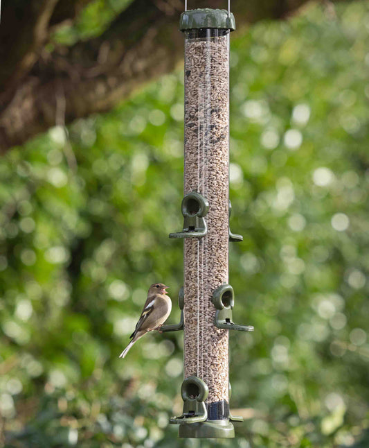 American goldfinch feeding sunflower hearts from durable metal bird feeder with twist off base and easy clean removable ports.