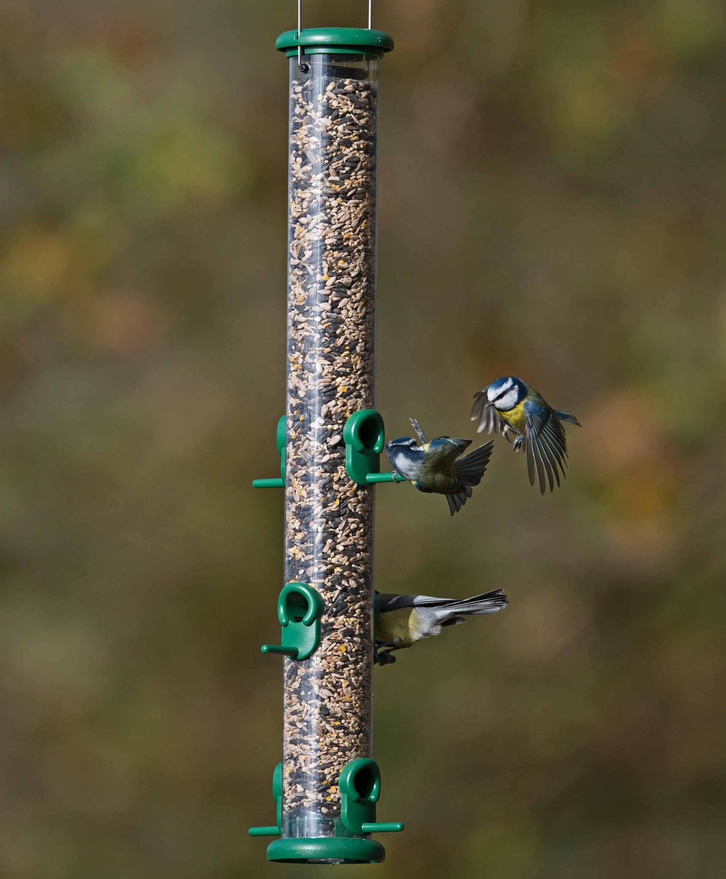 Jacobi Jayne Size 3 plastic Ring Pull seed bird feeder filled with sunflower hearts being eaten by 3 blue tits.