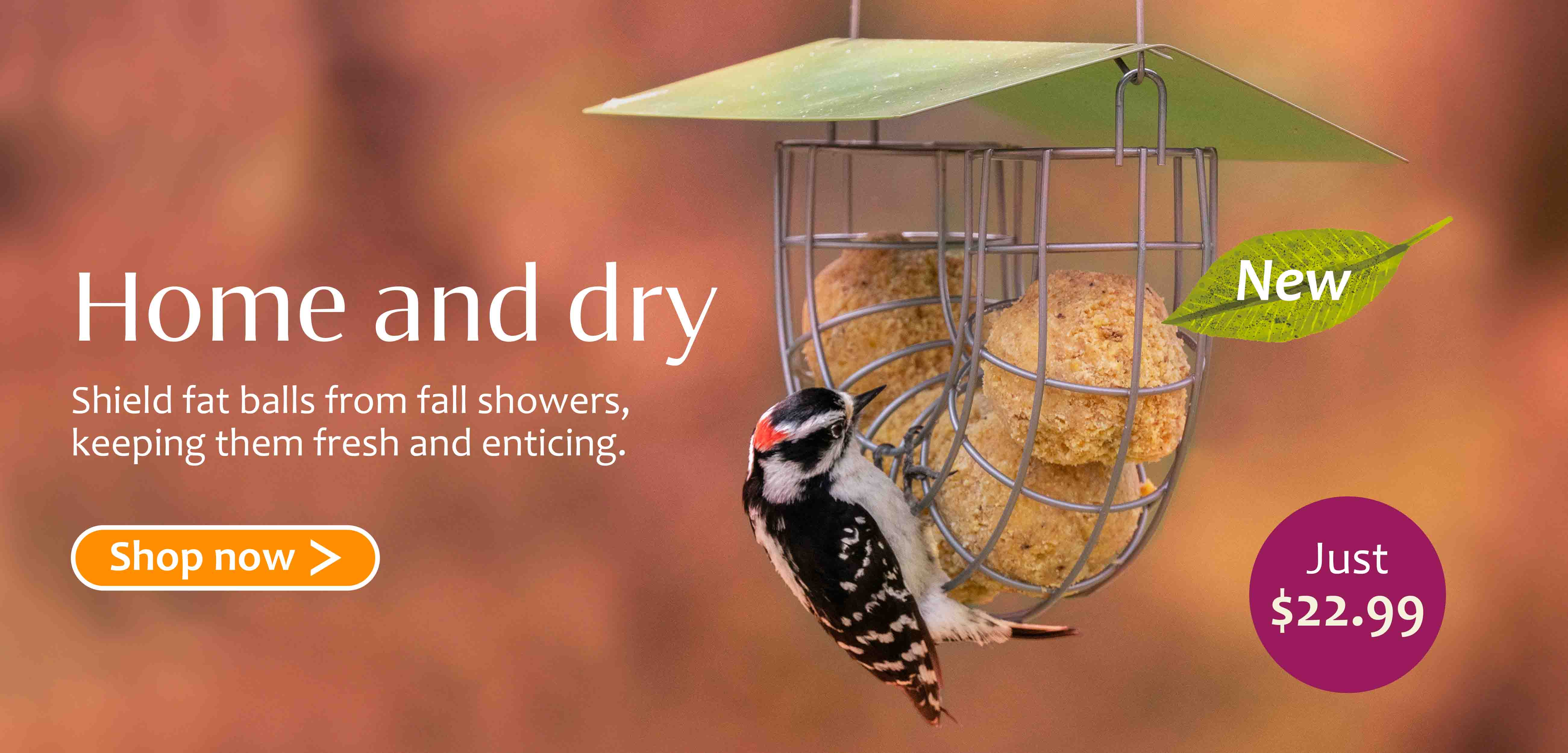 Text in image: home and dry. Shield fat balls from fall showers, keeping them fresh and enticing. Shop now. A downy woodpecker eating from a suet ball feeder for small birds. Orange background showing mid winter scenery.