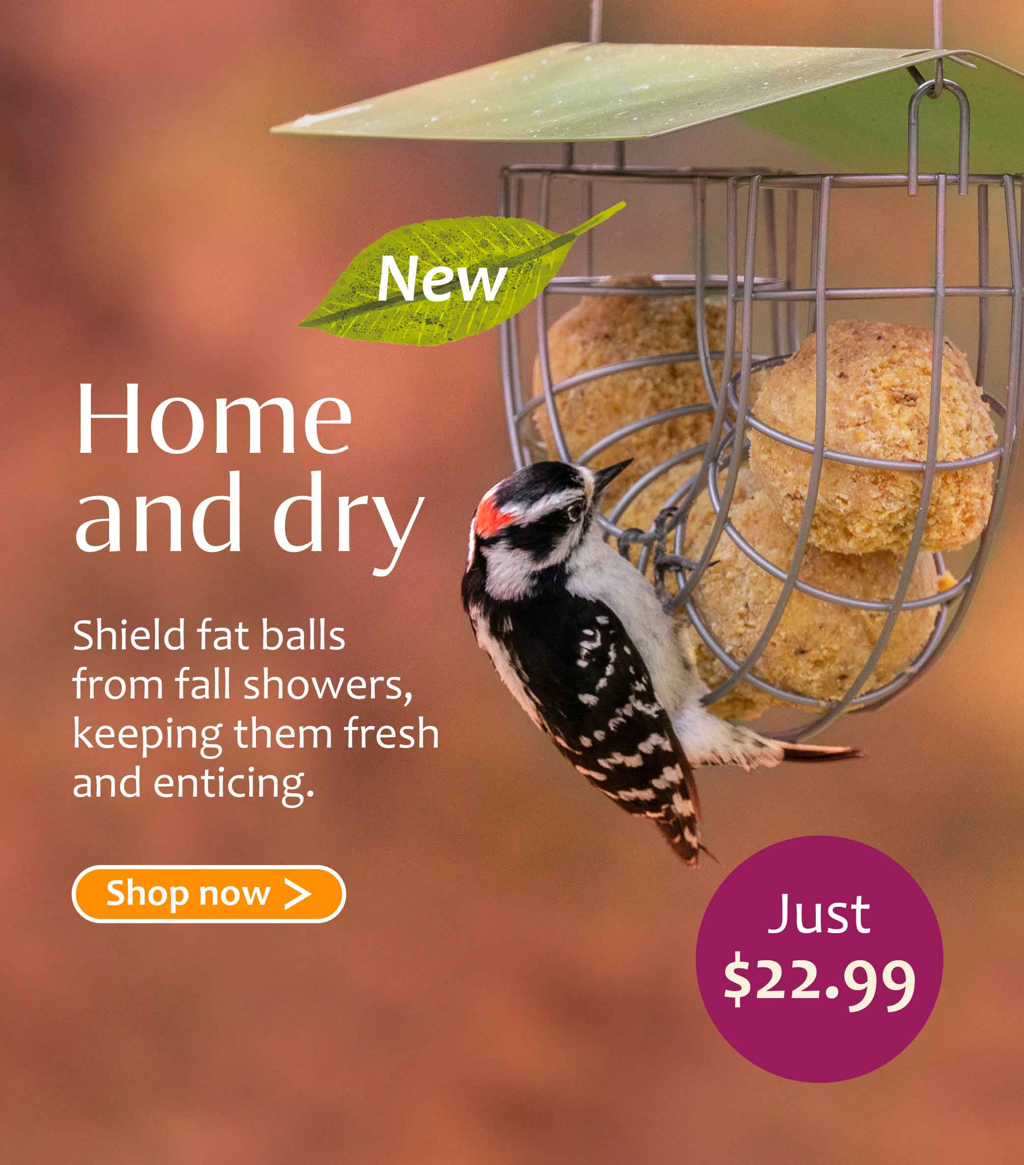 Jacobi Jayne Suet Ball Basket Bird Feeder hanging in an autumn garden, filled with high fat suet balls, protected by a weather resistant rain cover. Perched on the durable metal cage of the feeder is a woodpecker eating the fat balls.