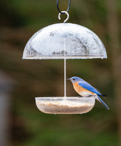 Jacobi Jayne® Pearl Feeder Orioles Cardinals & Blue Birds