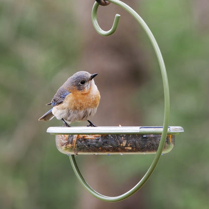 Hanging Treat Dish Bird Feeder