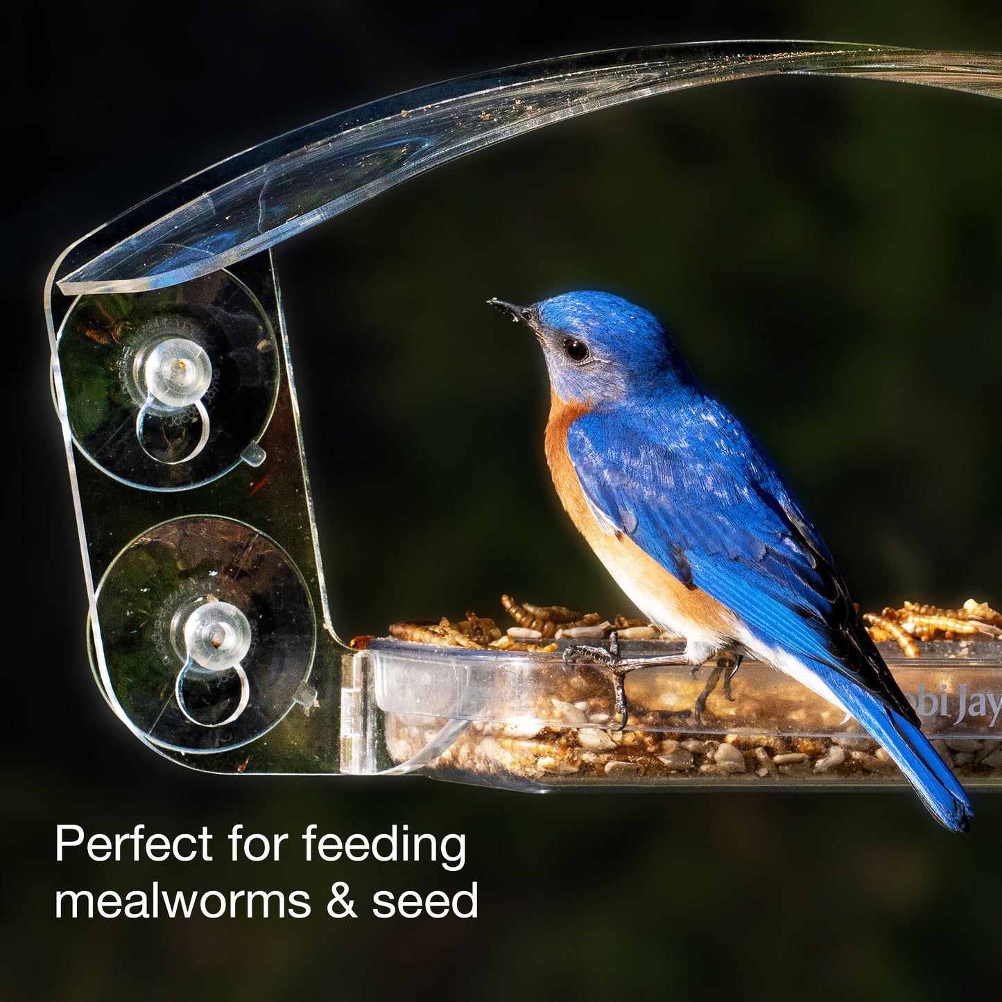 Sky Deck Window Feeder