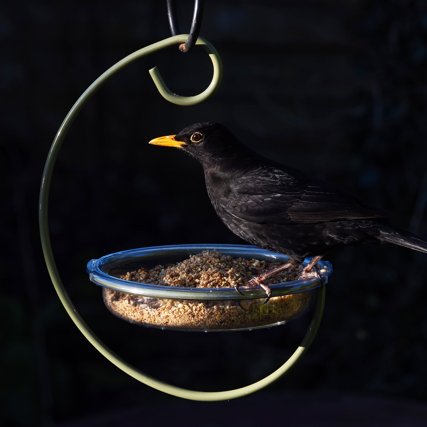 Hanging Treat Dish Bird Feeder