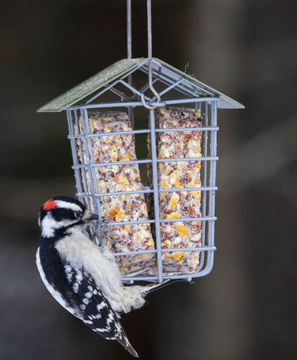 Suet Cake Basket