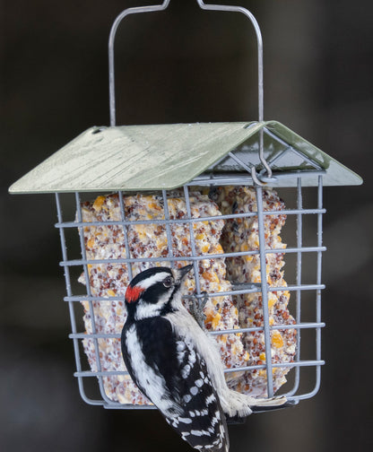 Suet Cake Basket