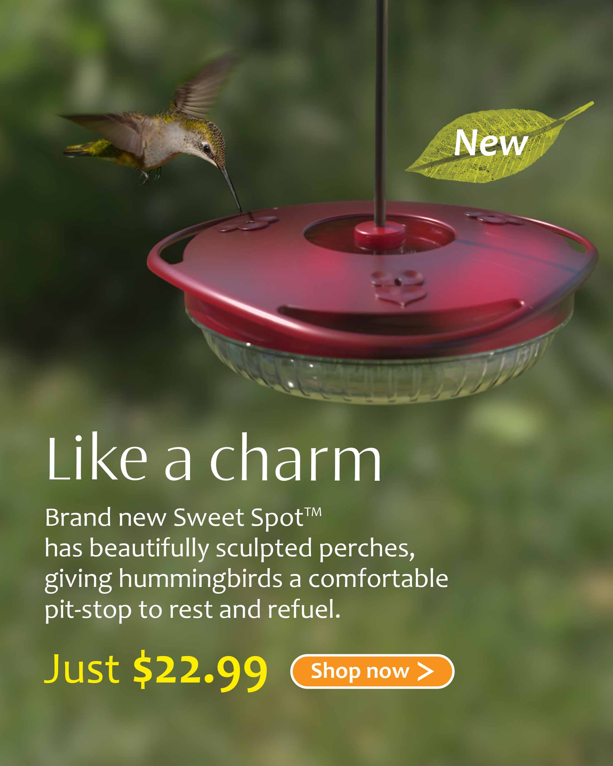 Sweet spot hummingbird feeder filled with syrup and nectar, being eaten by a female ruby-throated hummingbird in a spring garden. A lead shows that the product in the image is 