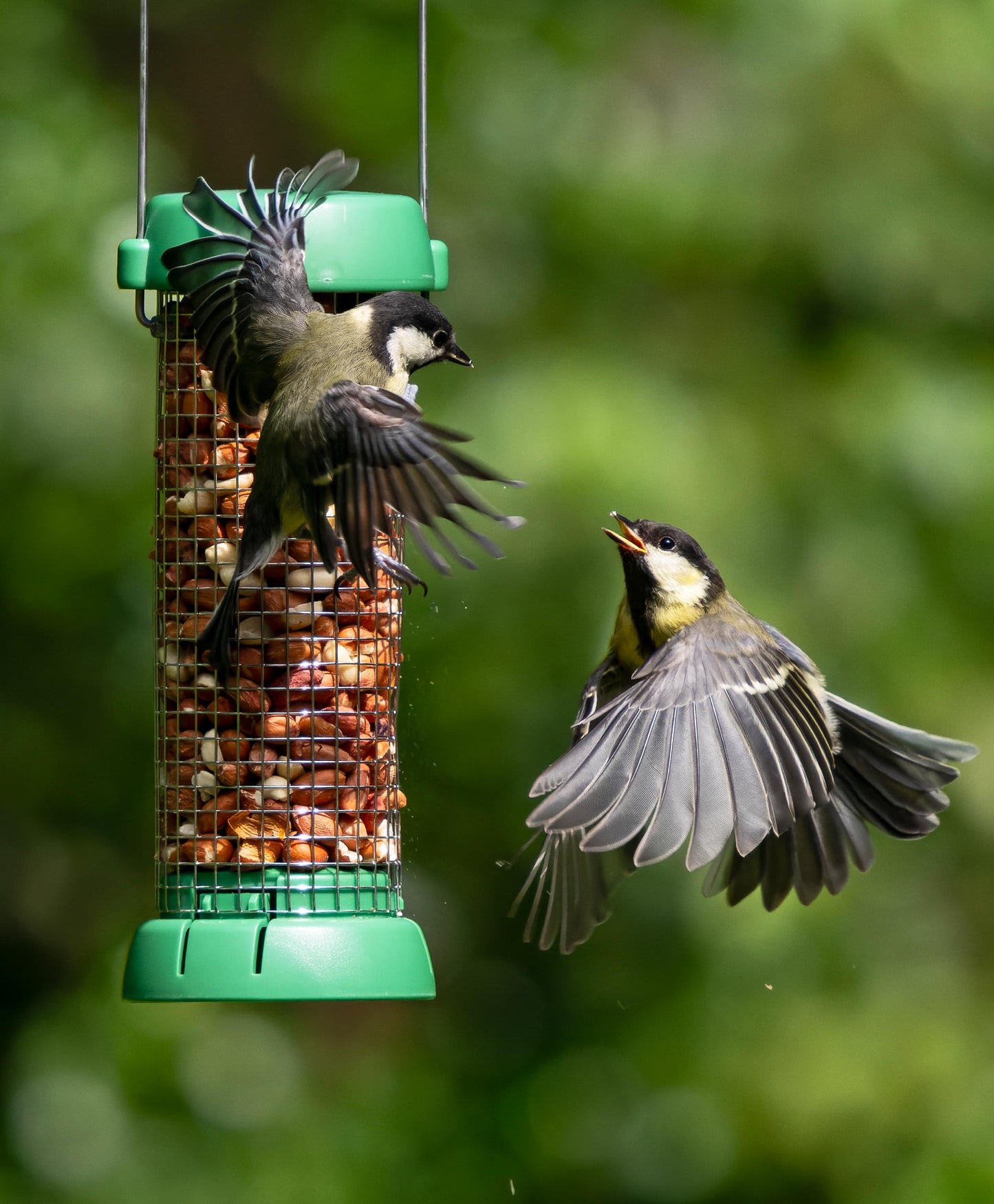 Bird Lovers™ Peanut Feeder