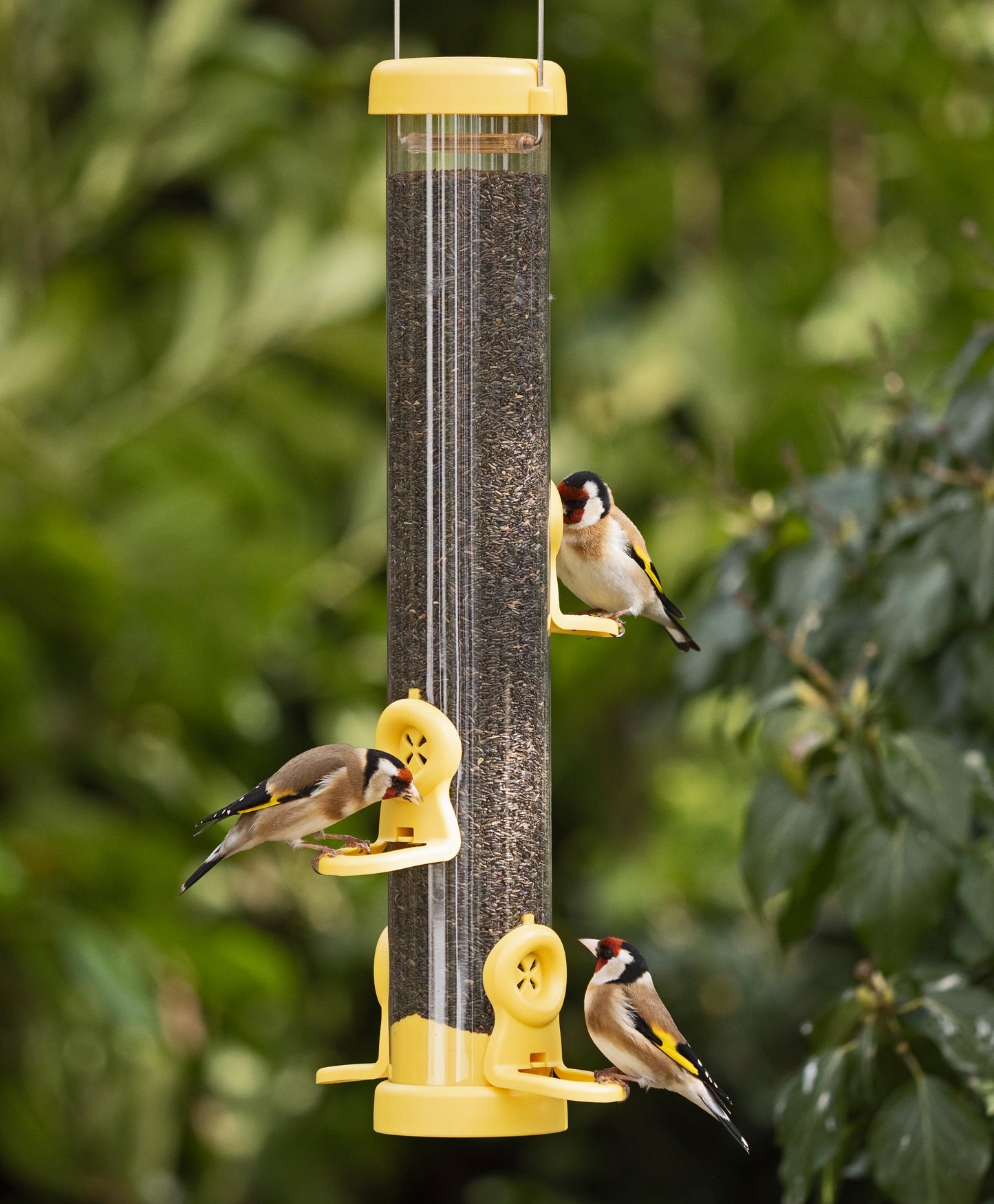 flo™ Nyjer seed feeders