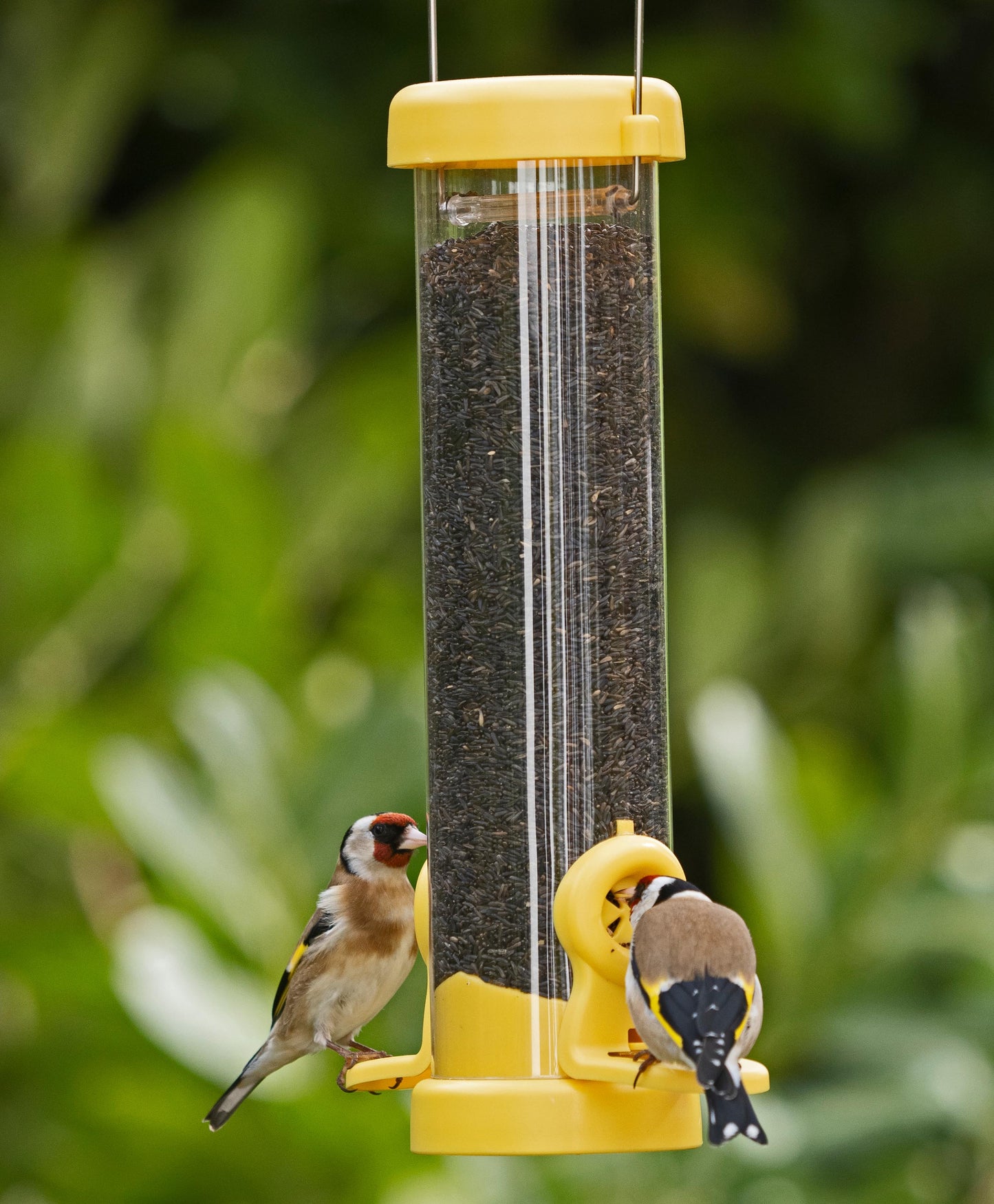 flo™ Nyjer seed feeders