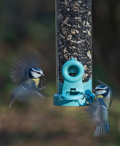 flo™ seed feeders