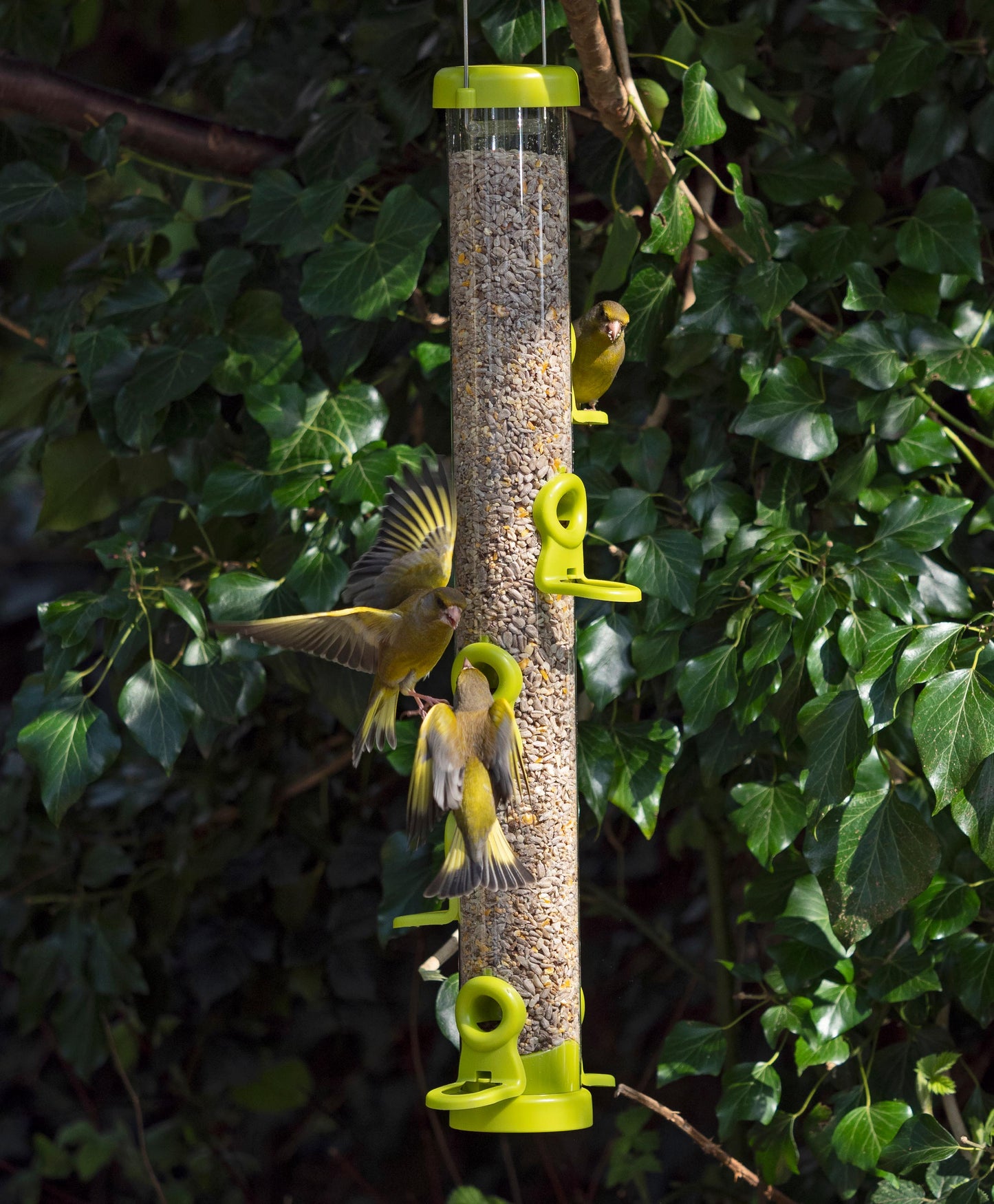 Mangeoires à oiseaux Flo™