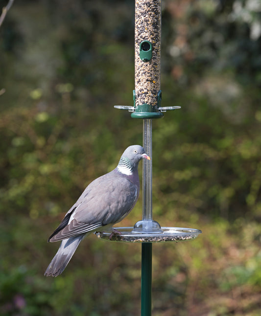 Long plastic UV-resistant tube, designed to attached to seed catchers and trays in order to prevent pigeons and other large birds from bird feeding on your quality seed mixes, blends, peanuts, suet pellets, sunflower hearts, black sunflower seeds and nyjer seeds.