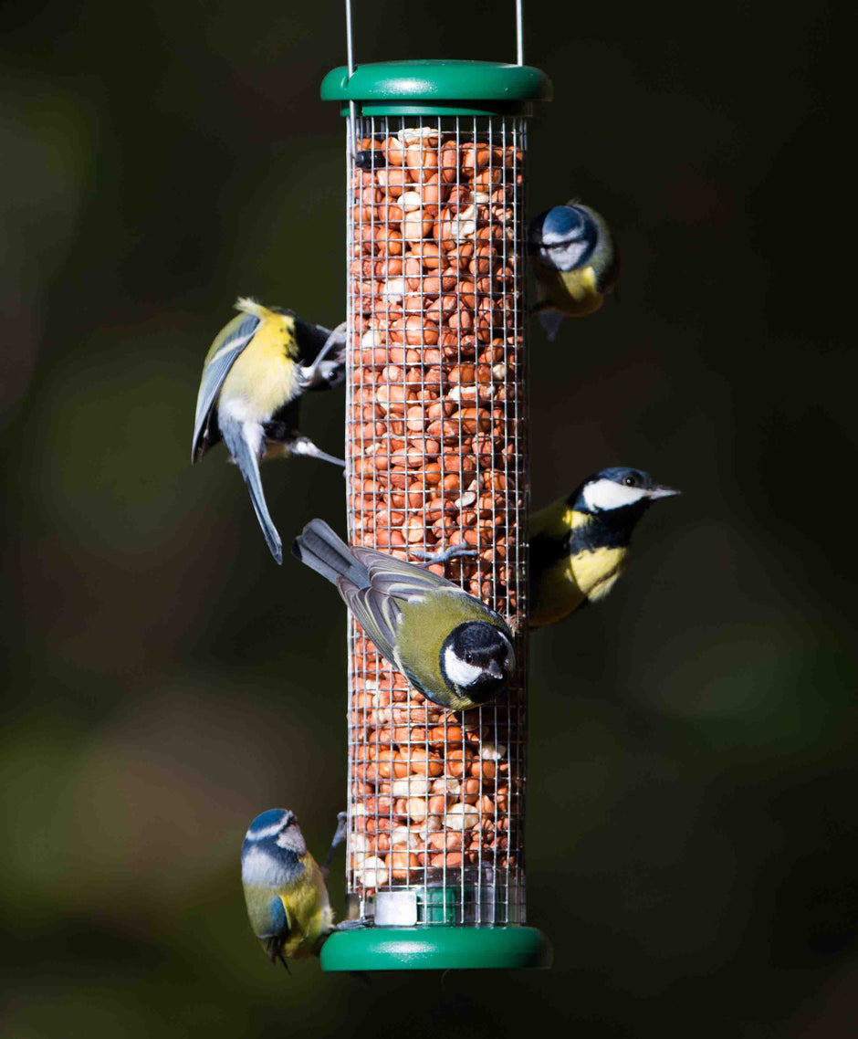Ring-Pull™ feeders – Jacobi Jayne