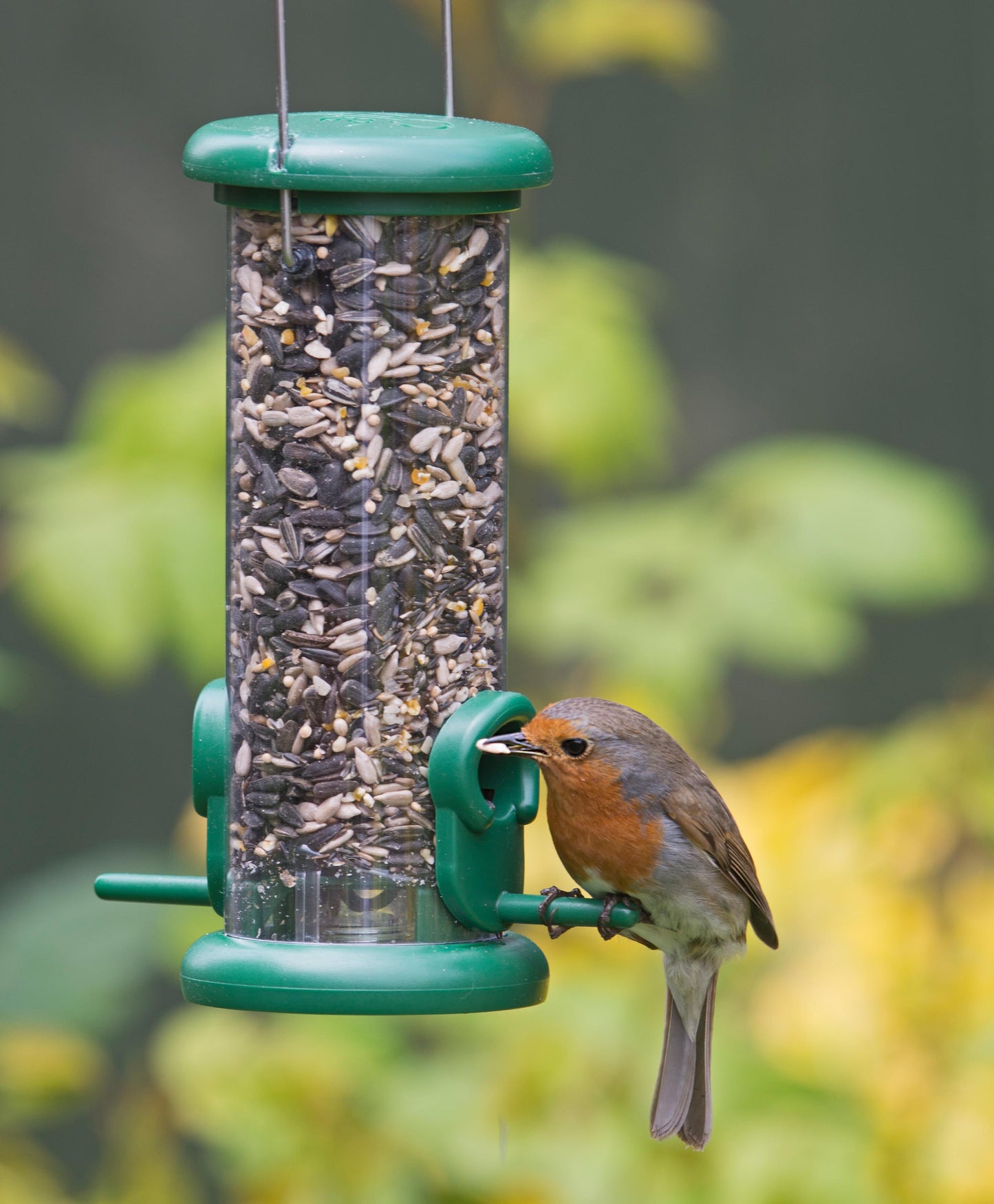 Ring-Pull™ Seed Feeder