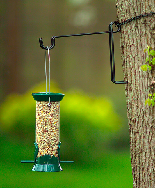 Bird feeder mounted from tree hook.